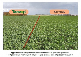 Тилмор, КЭ