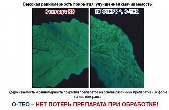 Биская, МД Биская, МД