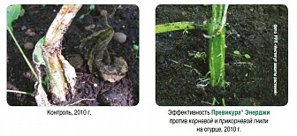 Превикур Энерджи, ВК